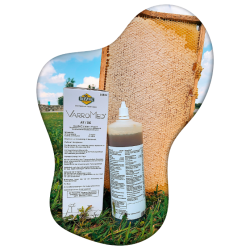 BeeVital 555 ml Oxalsäure zum Träufeln